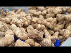 वाणिज्यिक सब्जी धोने की मशीन और सतत सफाई रेस्तरां खाद्य दुकान