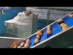 औद्योगिक आलू चिप्स फ्राइज़ के लिए स्वचालित ग्रेड स्वचालित आइसक्रीम शंकु उत्पादन लाइन