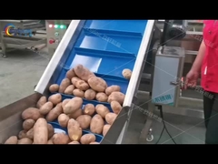 ताजा कटा हुआ फ्रेंच फ्राइज़ उत्पादन लाइन