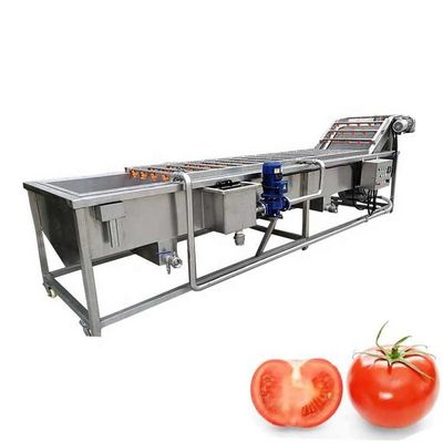Automatic Conveyor Belt Fruit Vegetable Washer 1000kg/H Custom Hotels