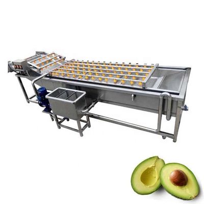 Automatic Conveyor Belt Fruit Vegetable Washer 1000kg/H Custom Hotels