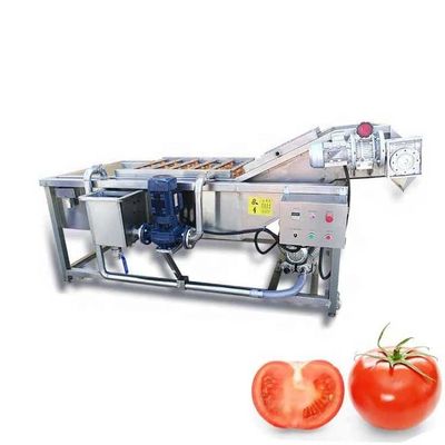 Automatic Conveyor Belt Fruit Vegetable Washer 1000kg/H Custom Hotels