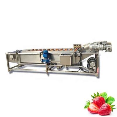 Automatic Conveyor Belt Fruit Vegetable Washer 1000kg/H Custom Hotels