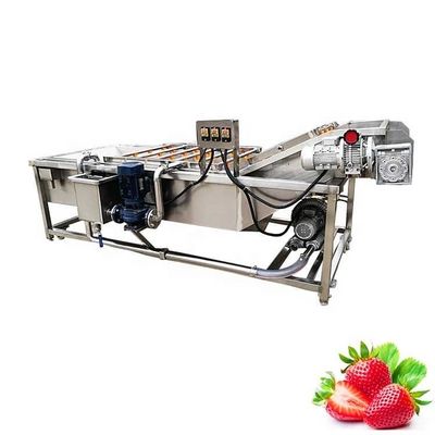 Automatic Conveyor Belt Fruit Vegetable Washer 1000kg/H Custom Hotels
