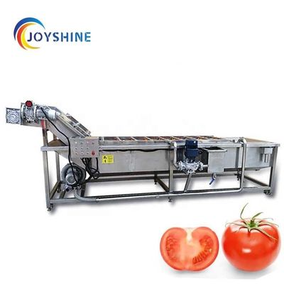 Automatic Conveyor Belt Fruit Vegetable Washer 1000kg/H Custom Hotels